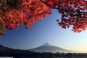 fall, Japan, Trees, Mountain, Sky, Mount Fuji