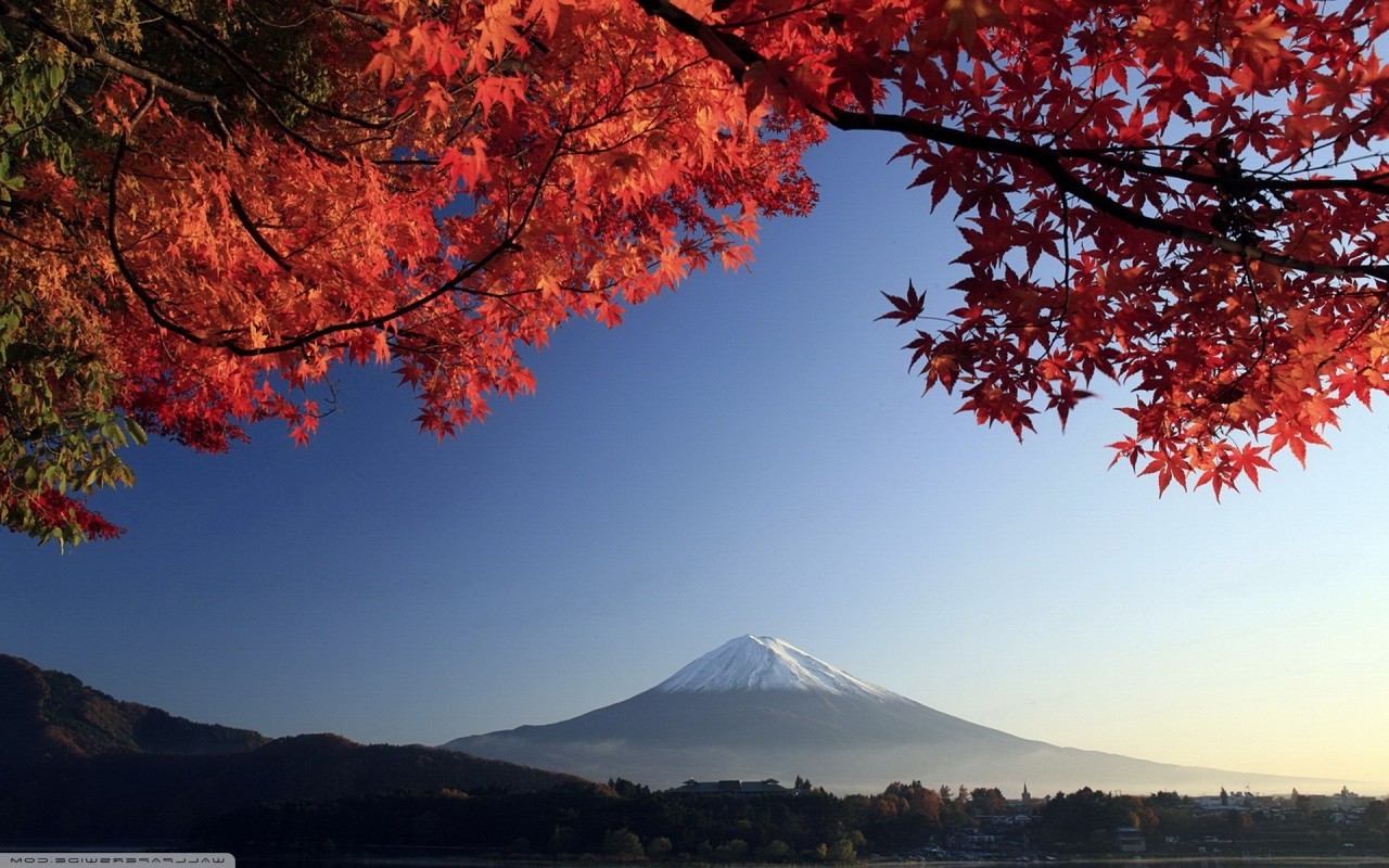 fall, Japan, Trees, Mountain, Sky, Mount Fuji Wallpapers HD / Desktop