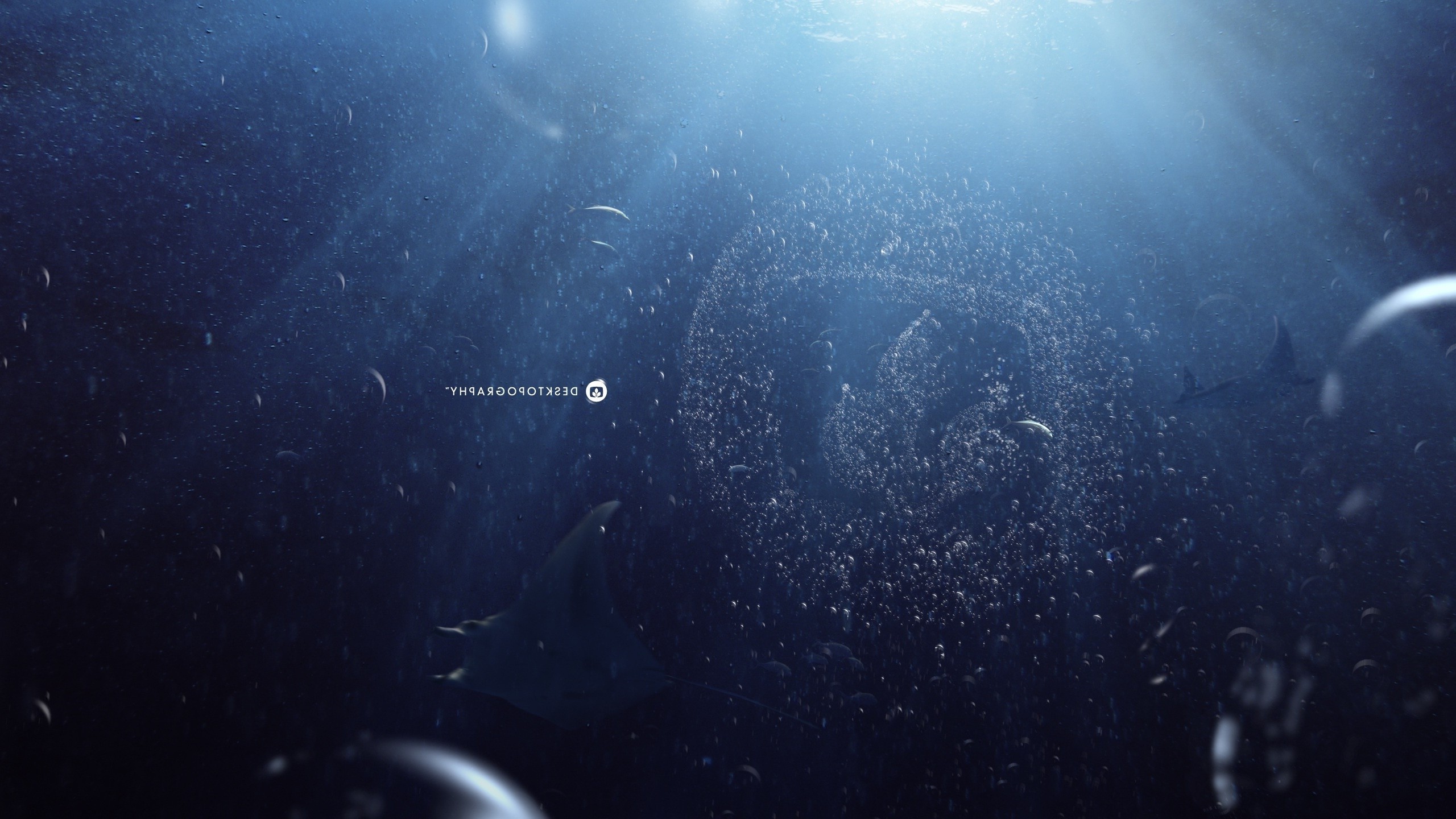 Desktopography, Manta rays, Water, Sea, Bubbles, Logo Wallpaper
