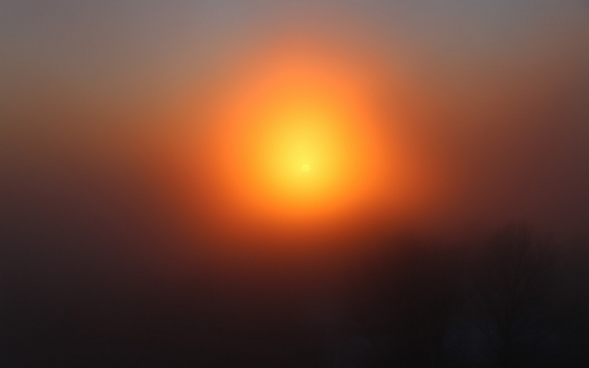sunset Wallpaper