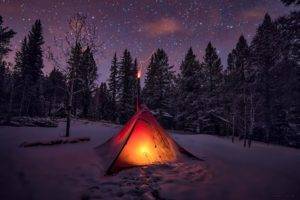 winter, Snow, Tents, Sky, Trees, Night, Forest