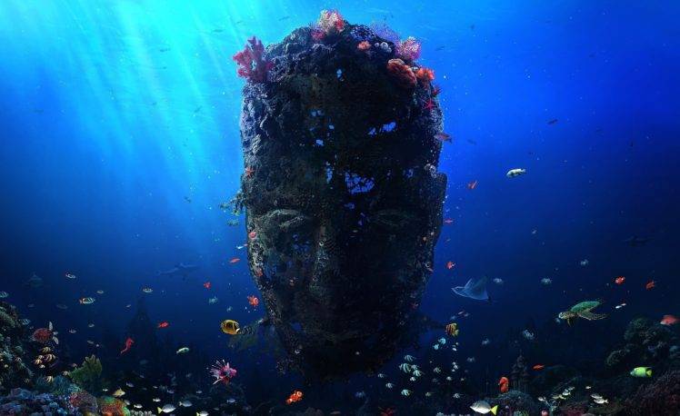face, Digital art, Coral, Fish, Underwater, Sea, Sunlight HD Wallpaper Desktop Background