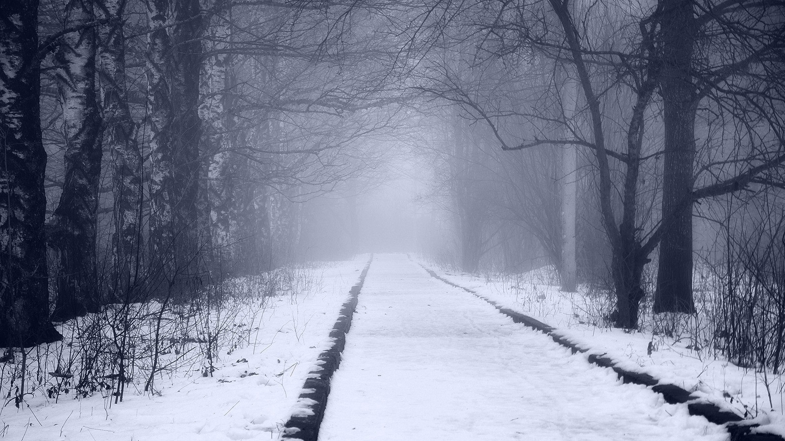snow, Winter Wallpaper