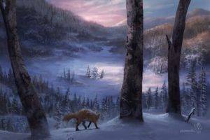 winter, Fox