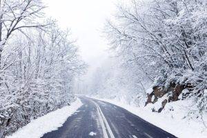 road, Winter, Forest