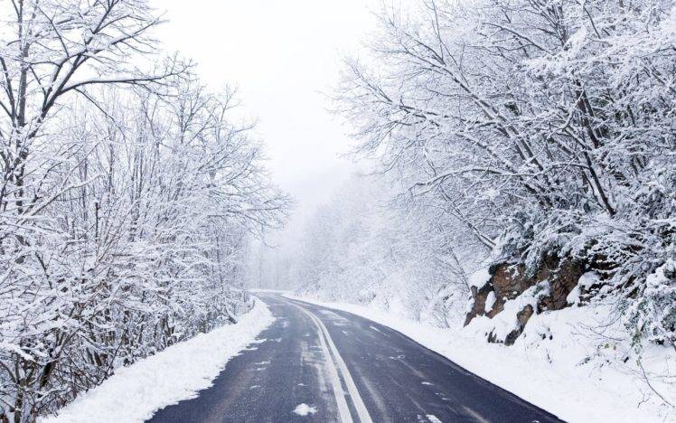 road, Winter, Forest HD Wallpaper Desktop Background