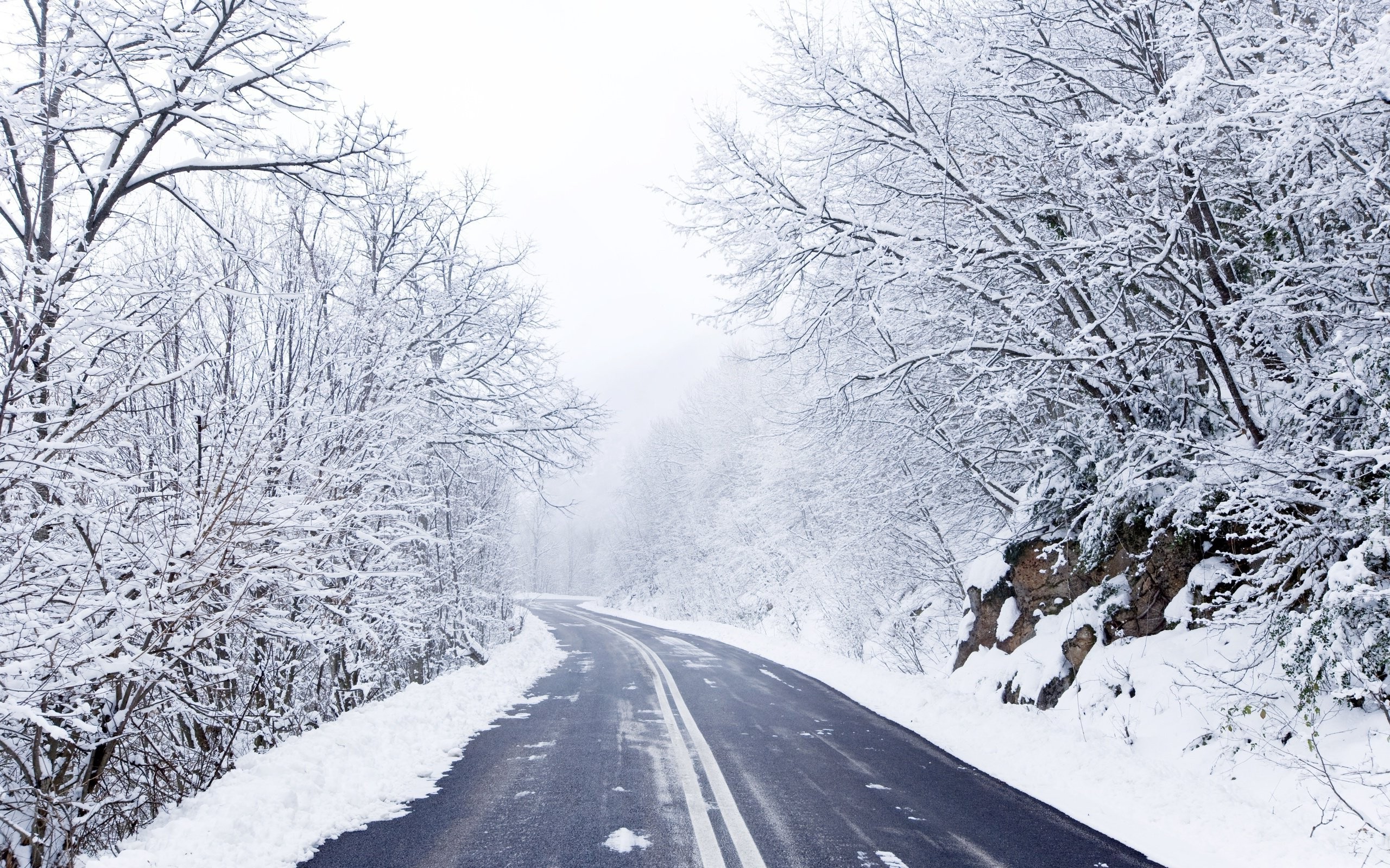 road, Winter, Forest Wallpaper