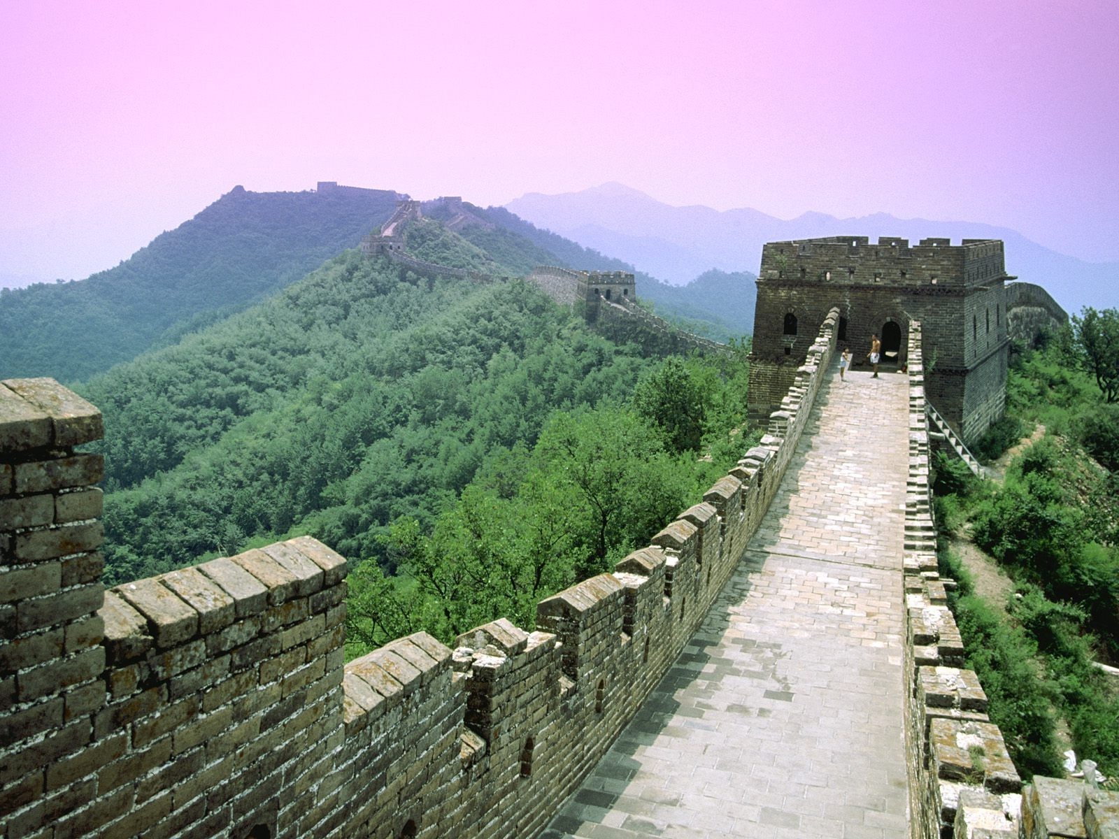 Great Wall of China, China, Mountain, Forest Wallpaper