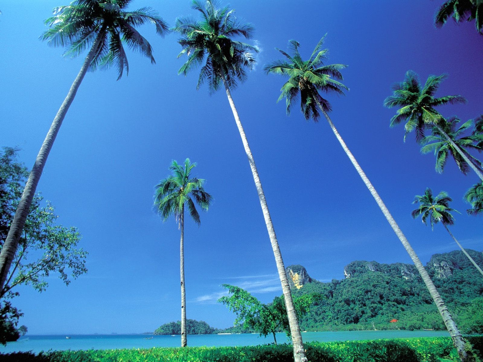 landscape Wallpaper