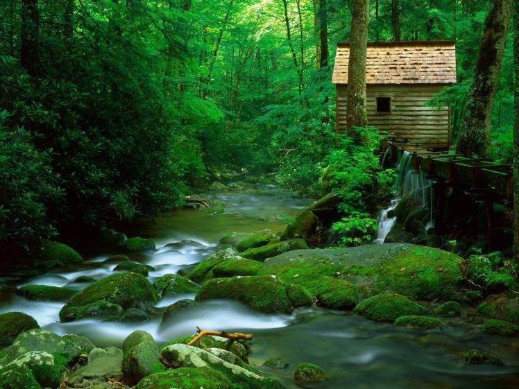 nature, River, Forest, Long exposure HD Wallpaper Desktop Background