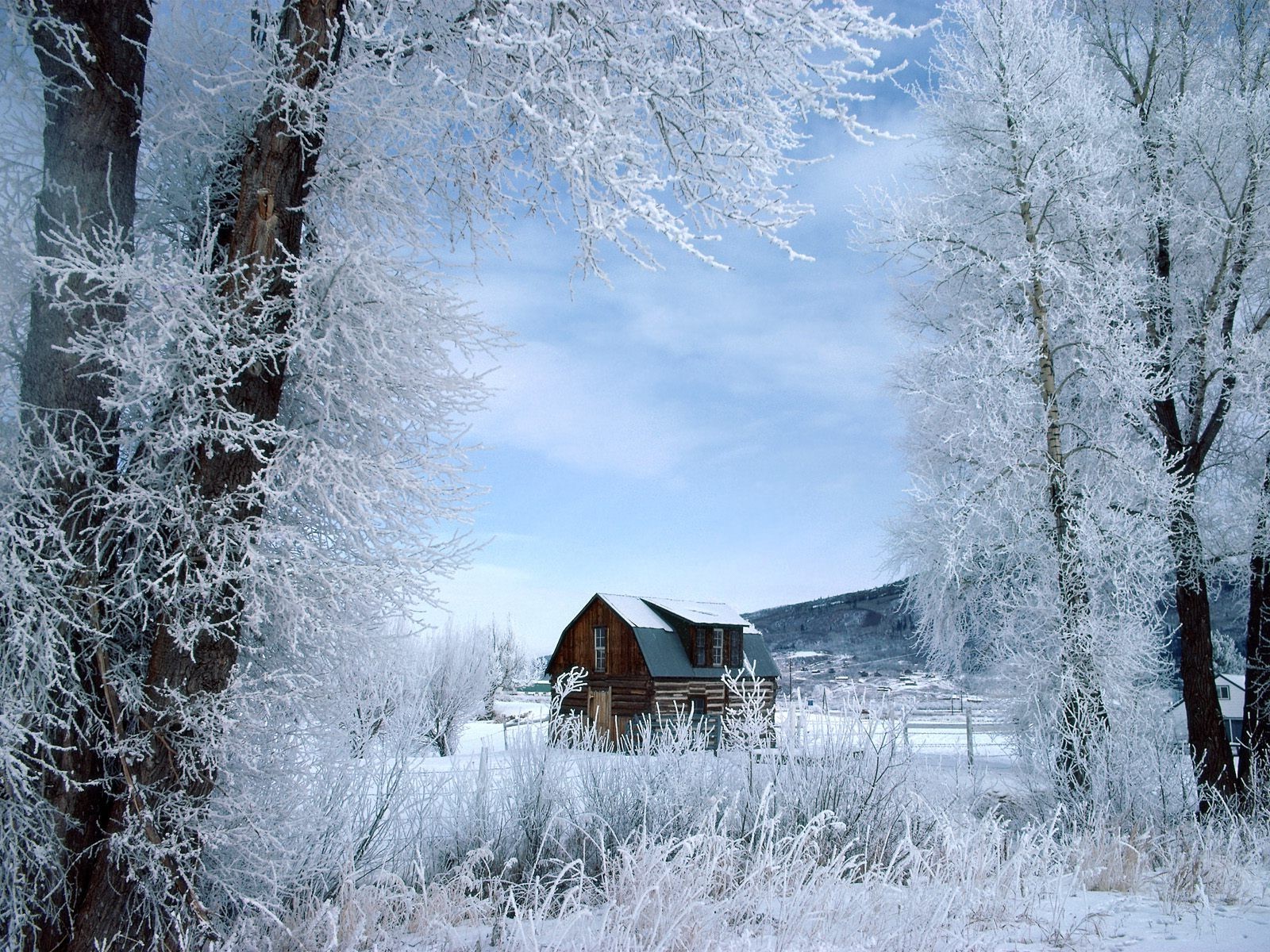 landscape Wallpaper