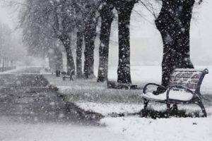 winter, Snow, Bench, Trees, Path