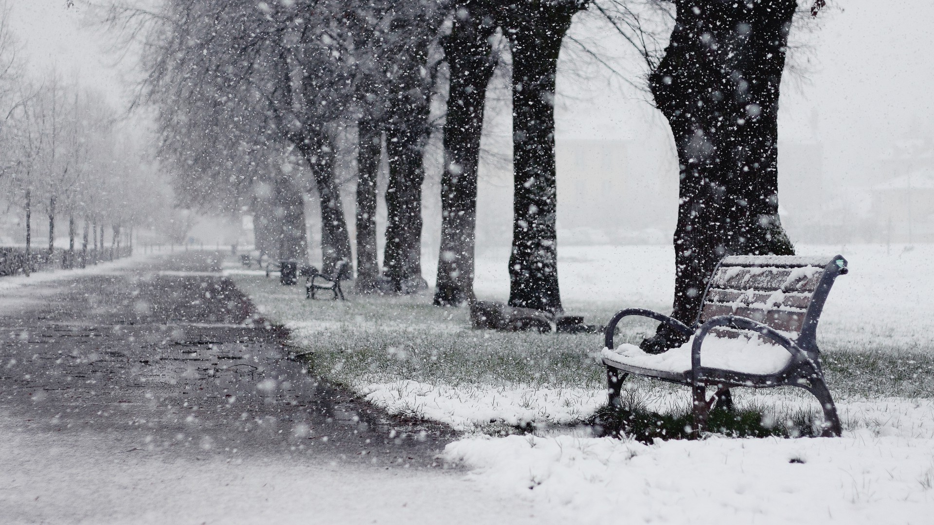 winter, Snow, Bench, Trees, Path Wallpapers HD / Desktop and Mobile