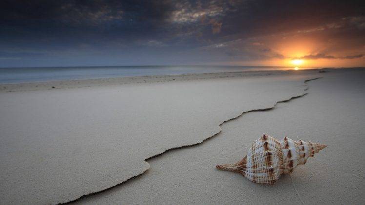 beach, Sea, Sand, Sunset, Seashells Wallpapers HD / Desktop and Mobile  Backgrounds