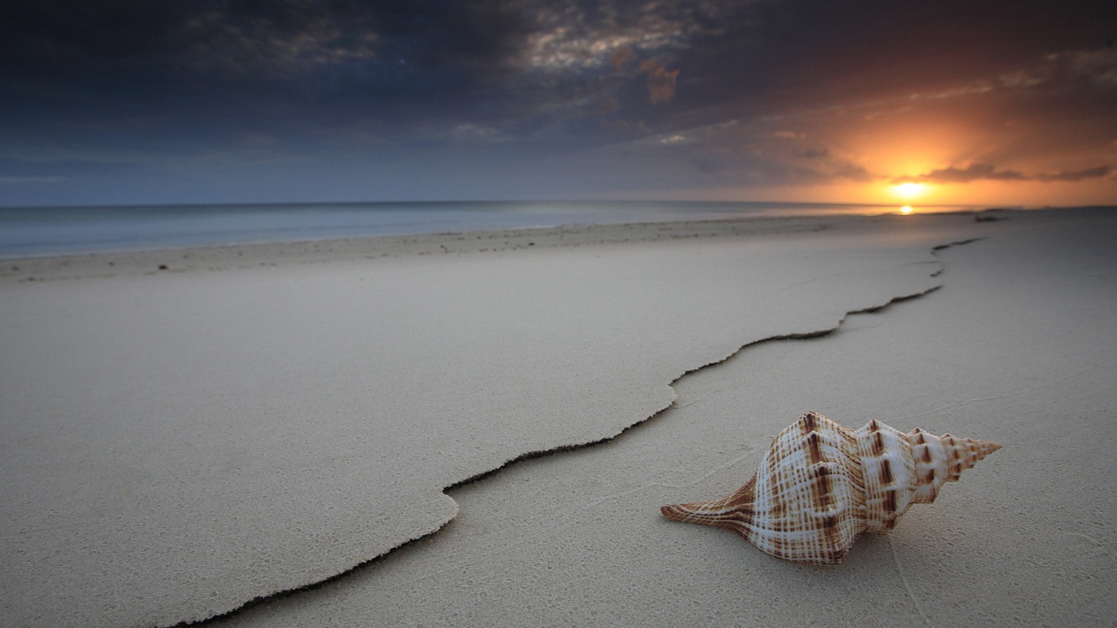 beach, Sea, Sand, Sunset, Seashells Wallpaper