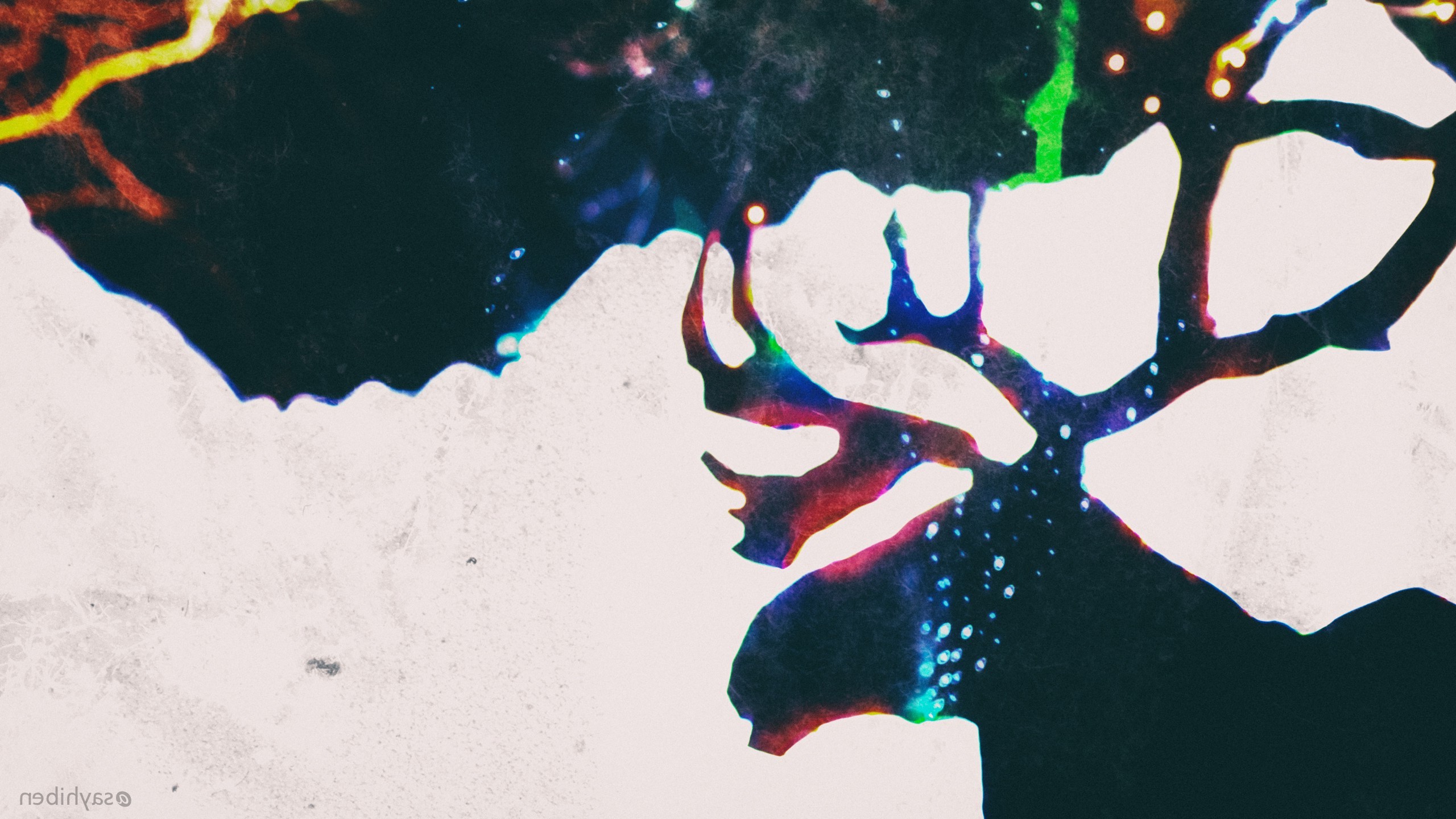 bokeh, Reindeer, Winter, Silhouette, Elk, Long exposure Wallpaper