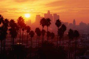 Los Angeles, Sunset, Palm trees