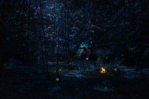 cabin, Forest, Night, Campfire
