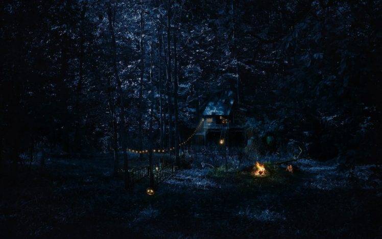cabin, Forest, Night, Campfire HD Wallpaper Desktop Background
