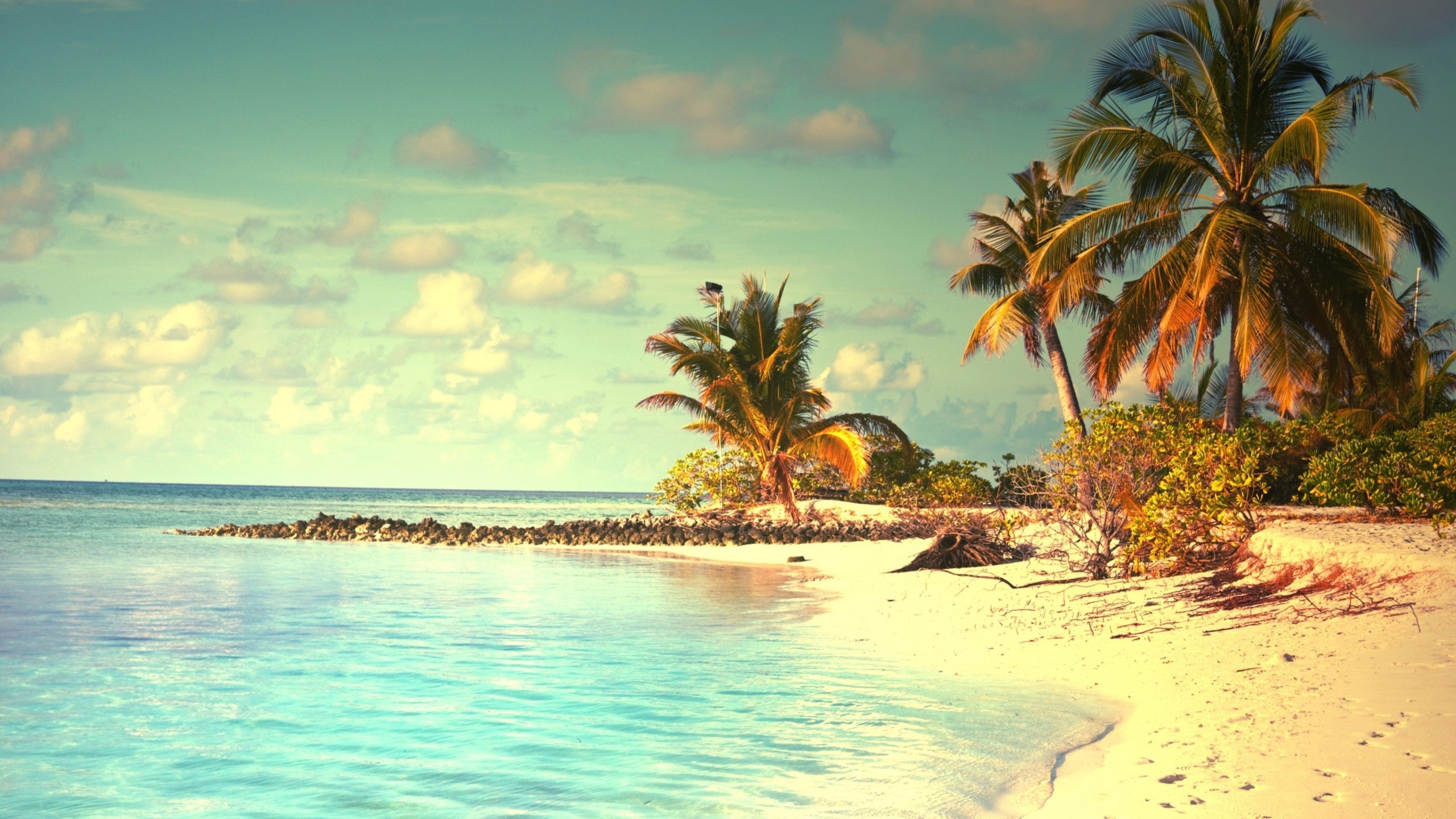 beach Wallpaper