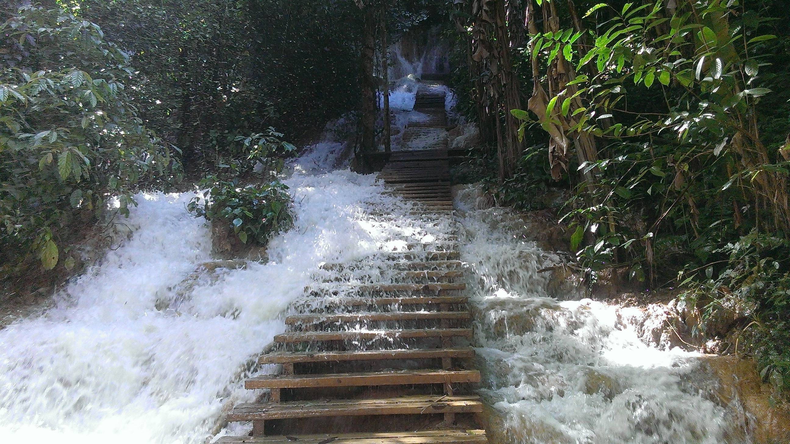 stairs, Water, Forest Wallpaper