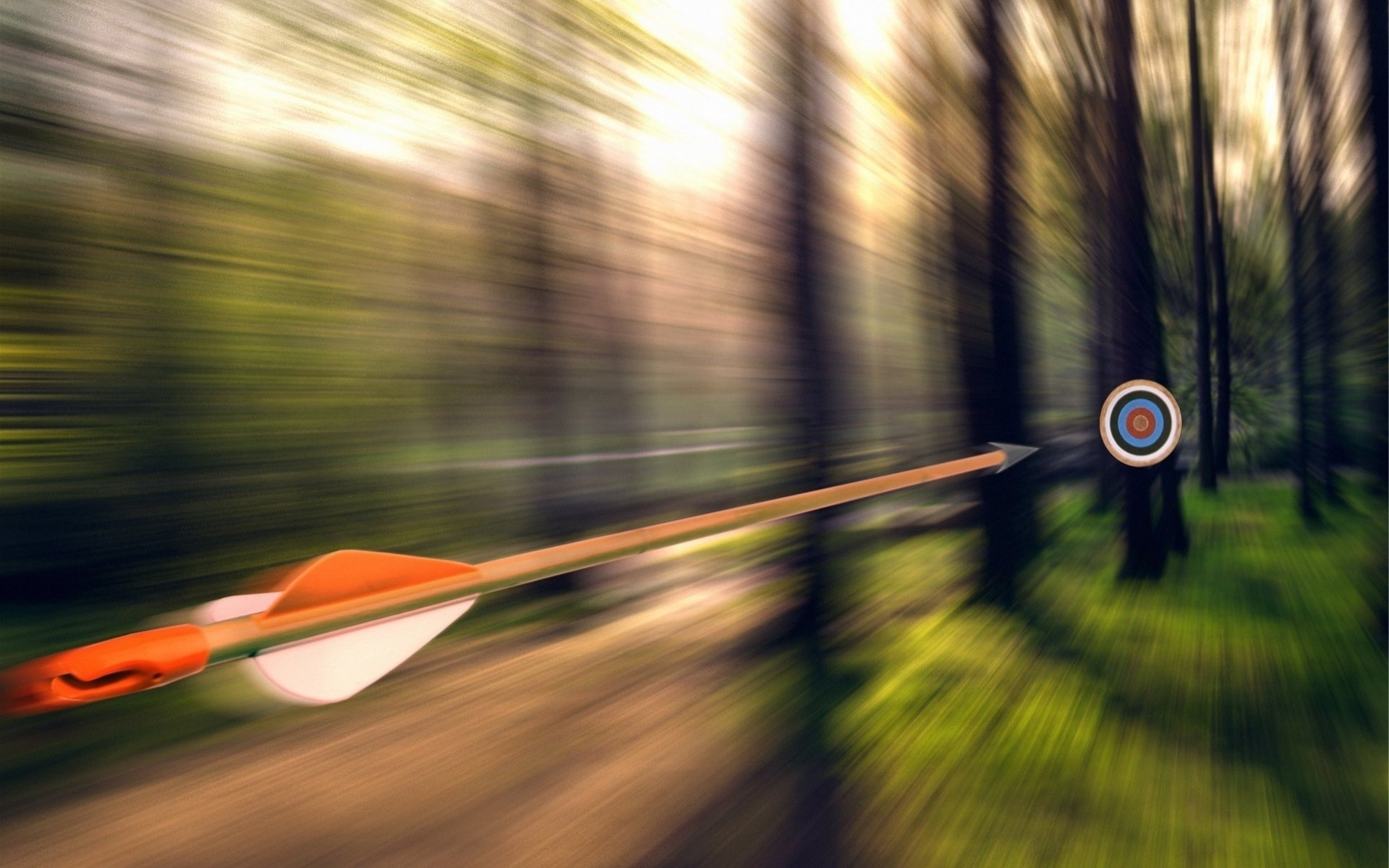 arrows, Motion blur, Forest, Targets, Trees Wallpaper