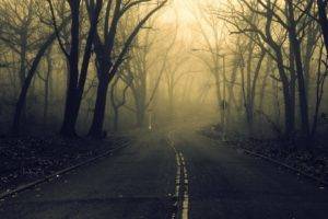 road, Forest, Spooky