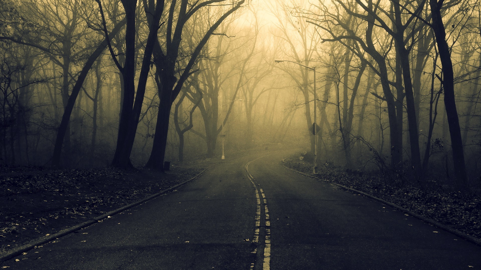 road, Forest, Spooky Wallpaper