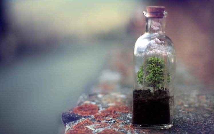 bottles, Cork, Trees, Ground, Clouds, Rock, Depth of field, Terrarium HD Wallpaper Desktop Background