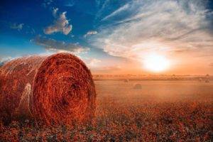 hay, Sunlight, Clouds, Haystacks