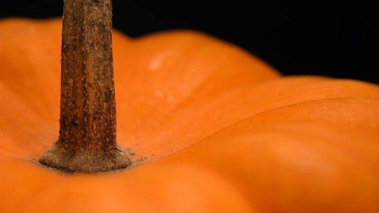 food, Plants, Pumpkin, Orange, Black background, Depth of field, Detailed, Macro HD Wallpaper Desktop Background