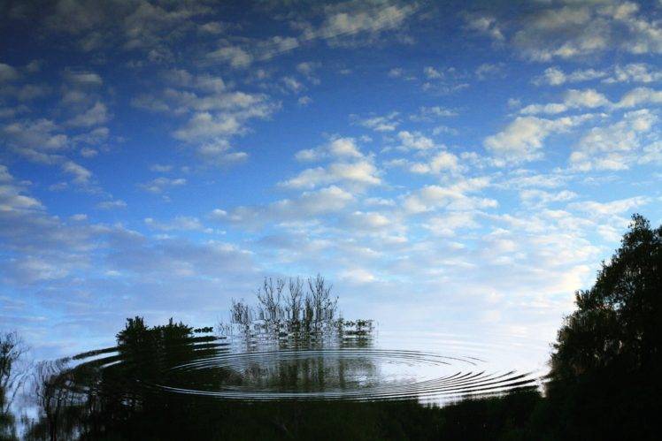 blue, Clouds, Trees, Water HD Wallpaper Desktop Background