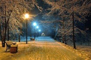 winter, Snow, Night, Street light, Path, Trees, Bench