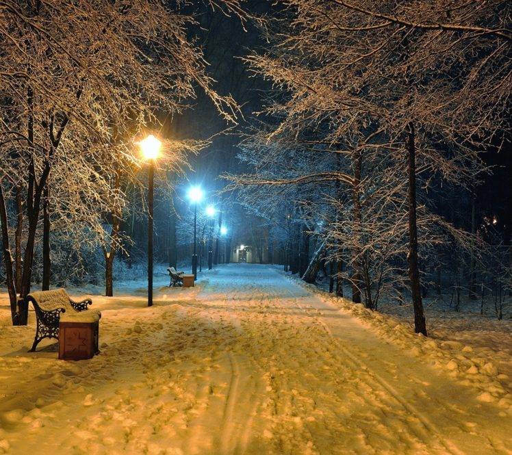 winter, Snow, Night, Street light, Path, Trees, Bench HD Wallpaper Desktop Background
