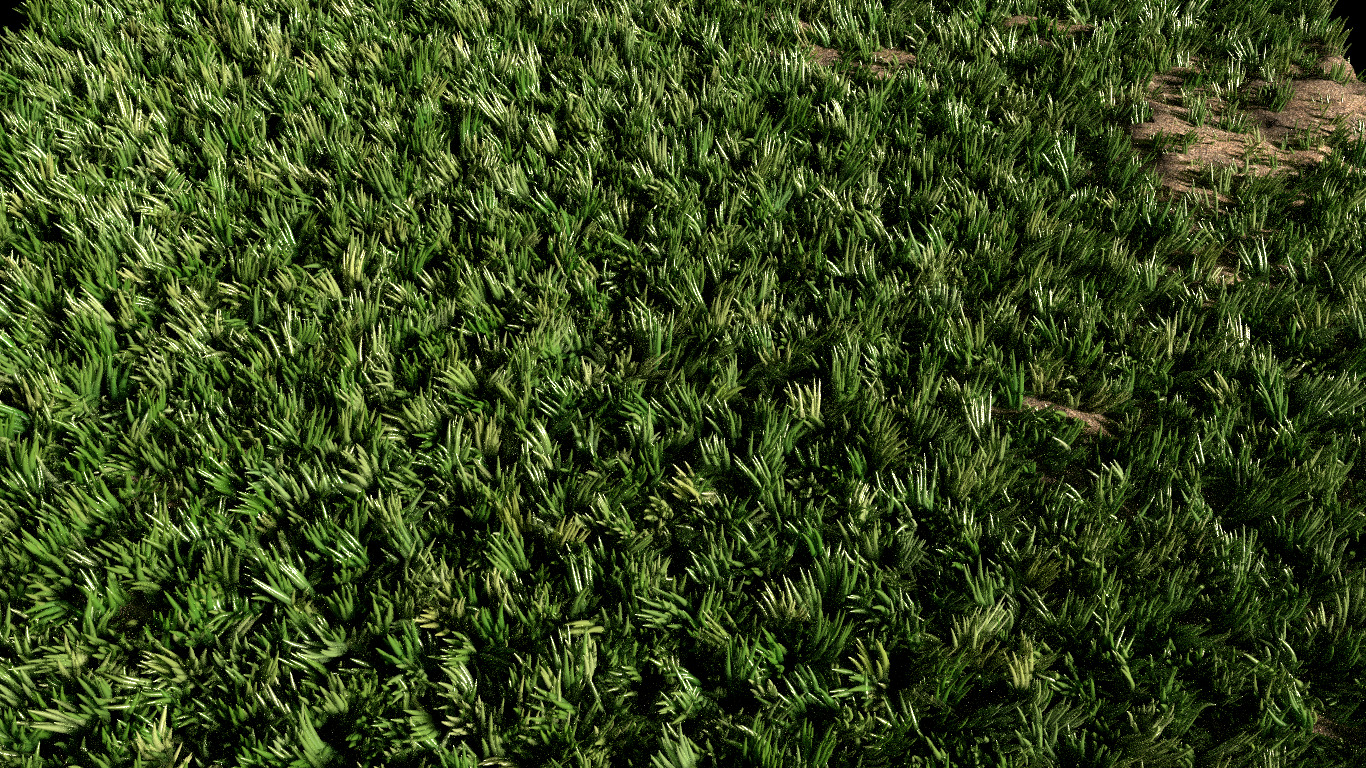 Blender, Grass, Green Wallpaper