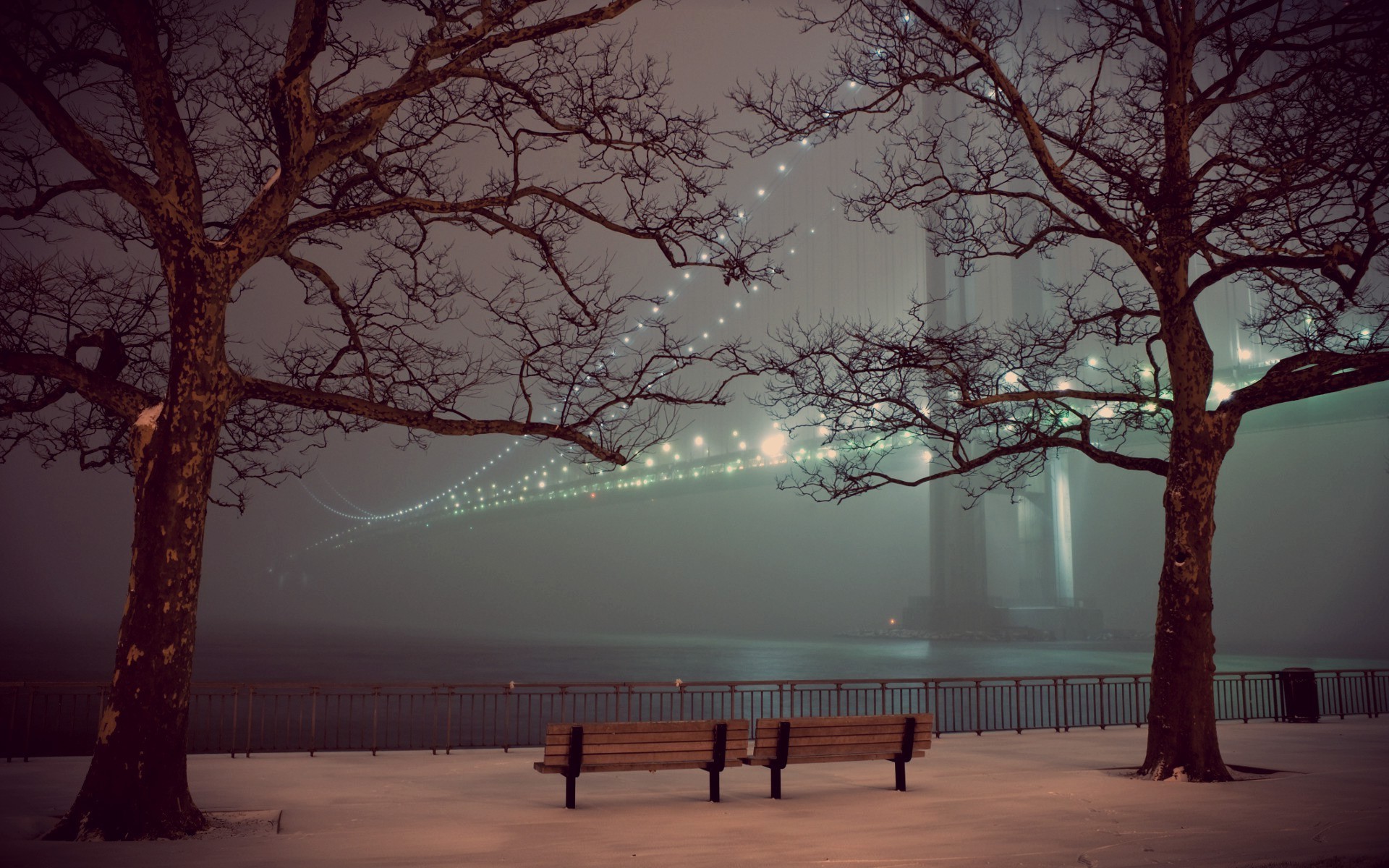 winter, Bridge, Lights, Trees, Snow, Bench, Fence, Night Wallpapers HD