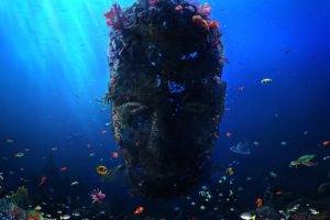 face, Digital art, Coral, Fish, Underwater, Sea, Sunlight