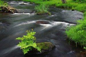 nature, Water, Landscape, River