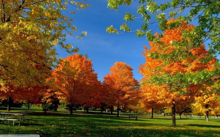 fall, Landscape, Trees HD Wallpaper Desktop Background