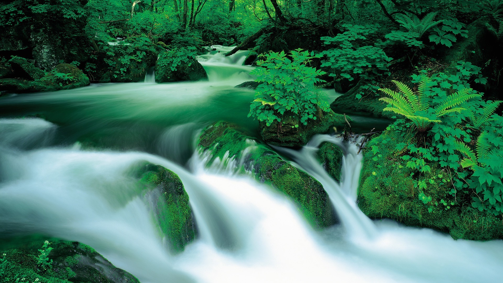 long exposure, Water, Forest Wallpaper