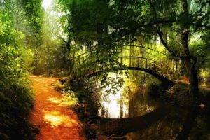 nature, Landscape, Trees, Forest, Bridge, Sunlight, River, Reflection, Path, Stream, Arch bridge, Shadow