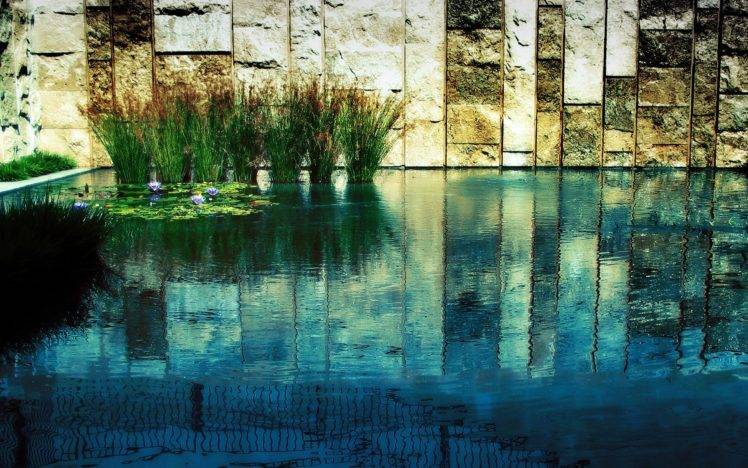 water, Reflection, Plants HD Wallpaper Desktop Background