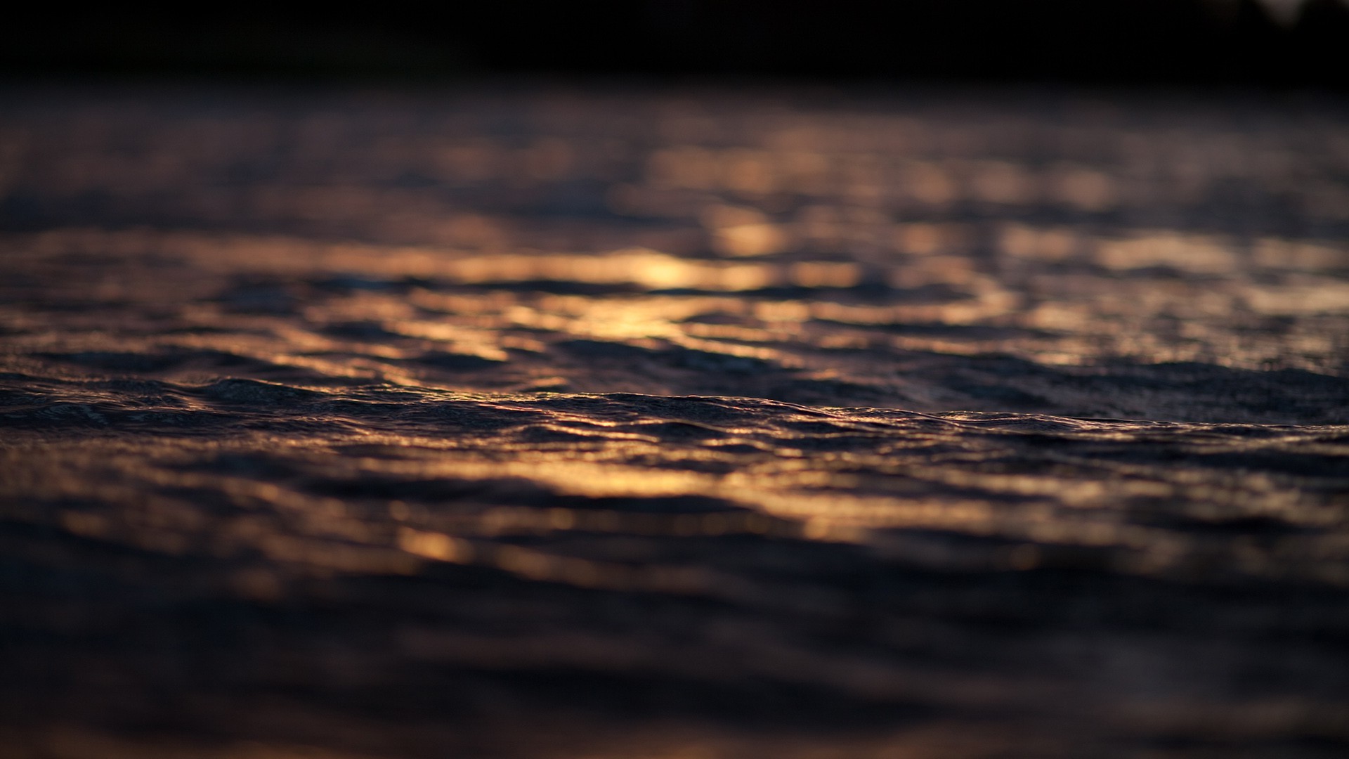 sea, Water, Depth of field, Sunlight Wallpaper