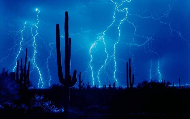 desert, Thunder, Landscape, Storm, Night HD Wallpaper Desktop Background