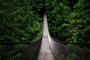 bridge, Forest, Nature