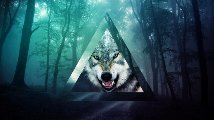 memes, Triangle, Wolf, Forest HD Wallpaper Desktop Background