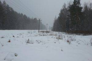 winter, Power lines