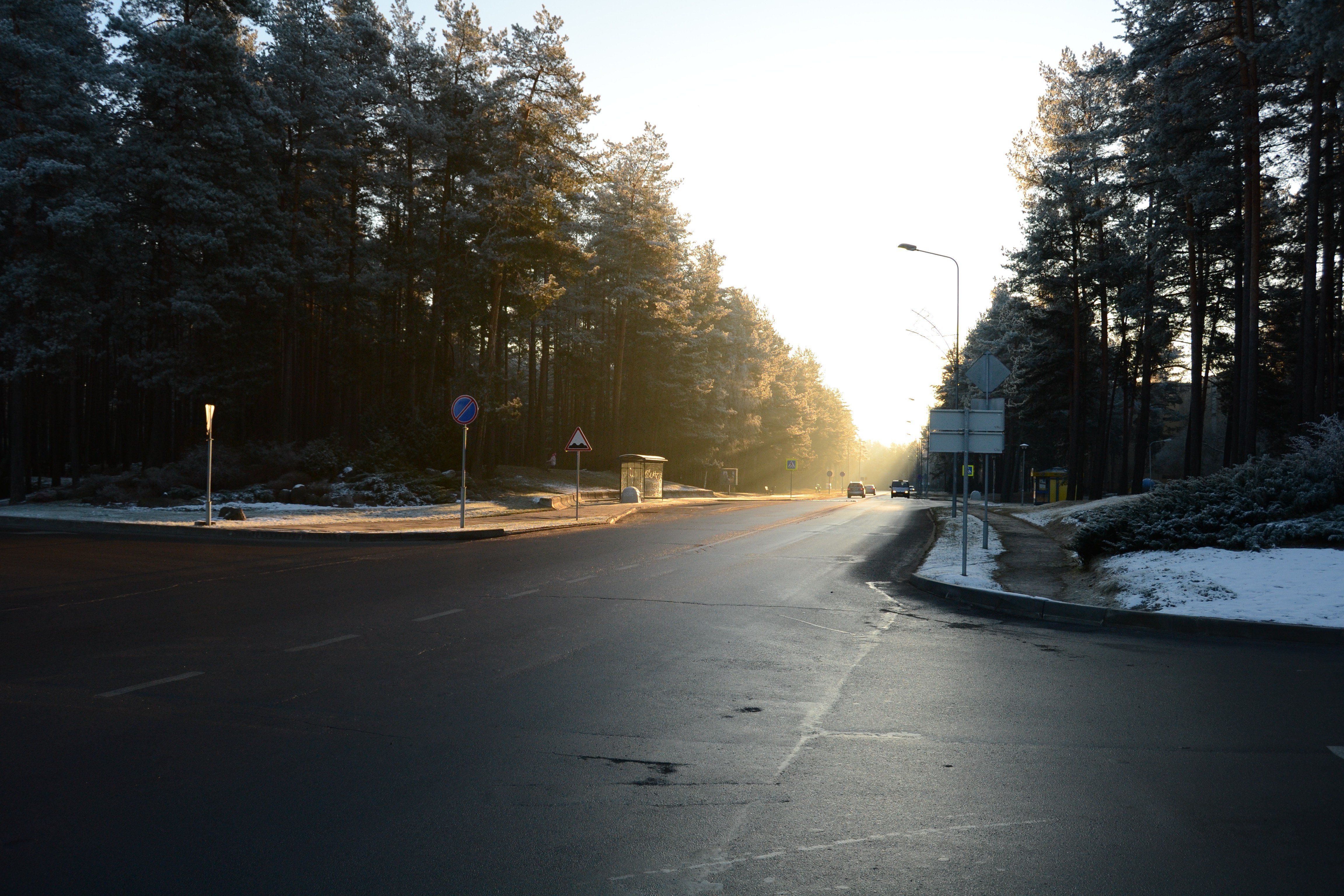 winter Wallpaper