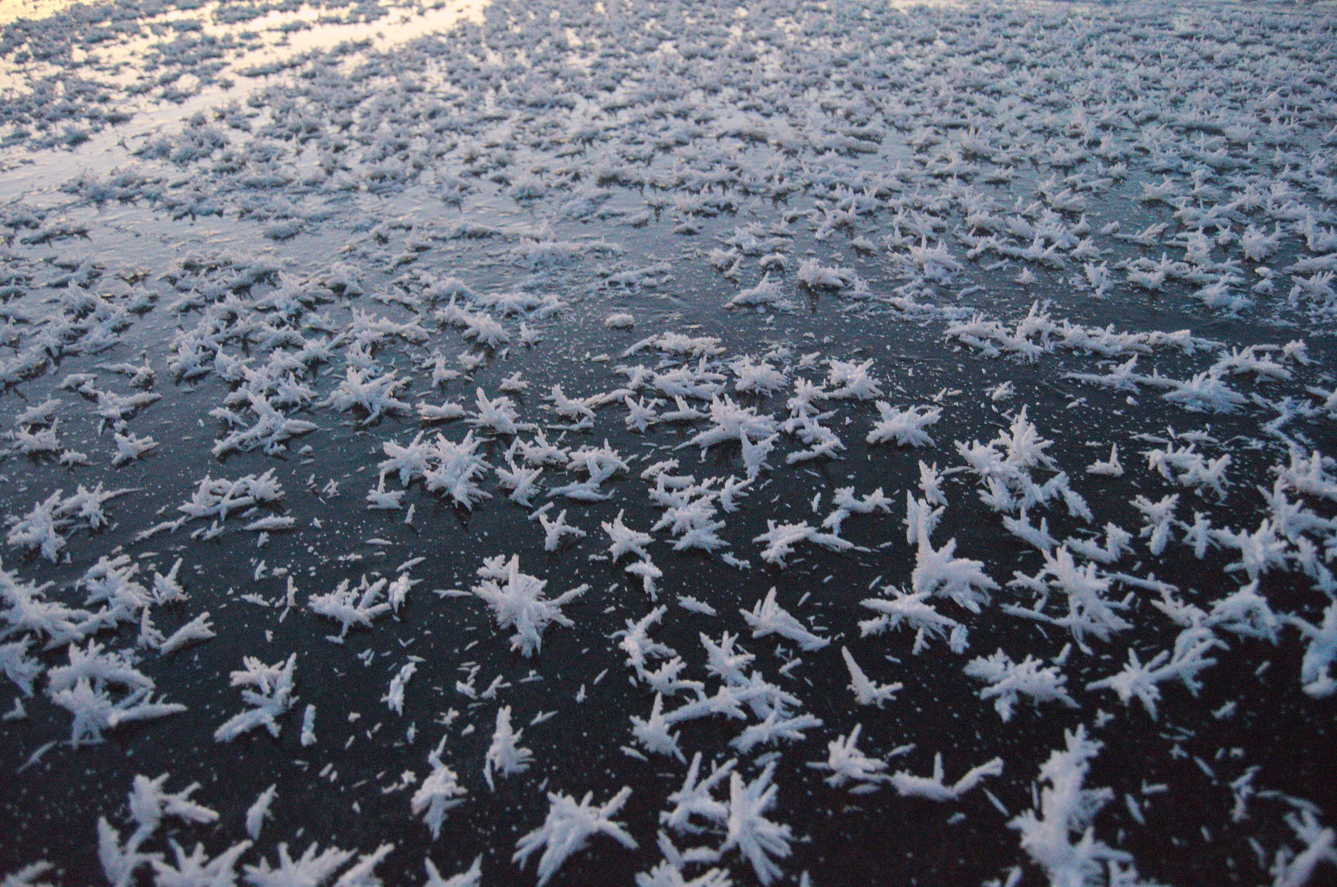 winter Wallpaper