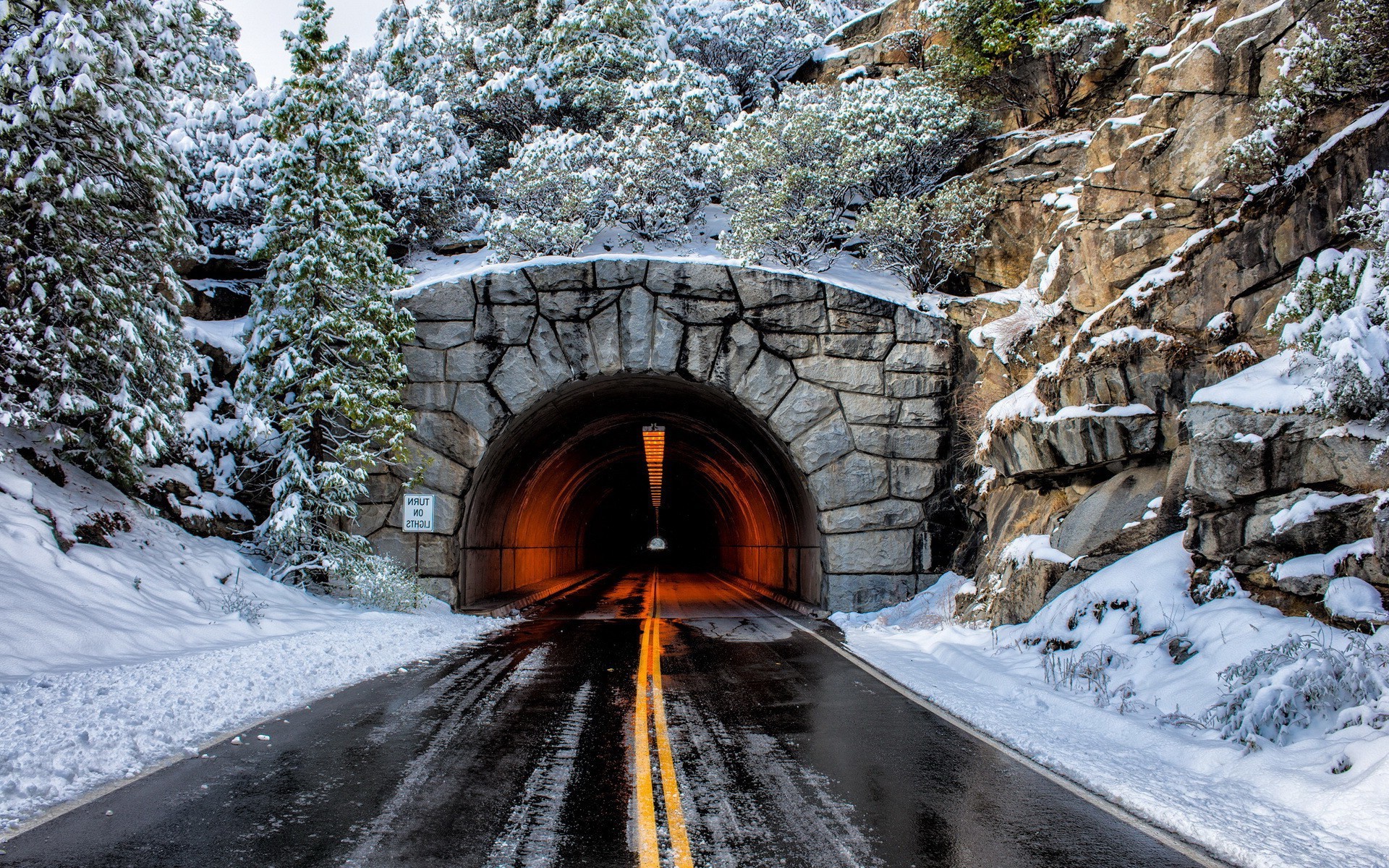 winter, Road, Trees, Tunnel, Snow Wallpaper